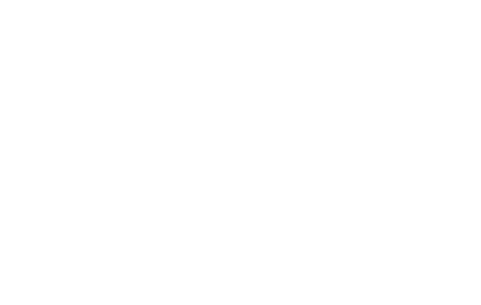 EVE Bags